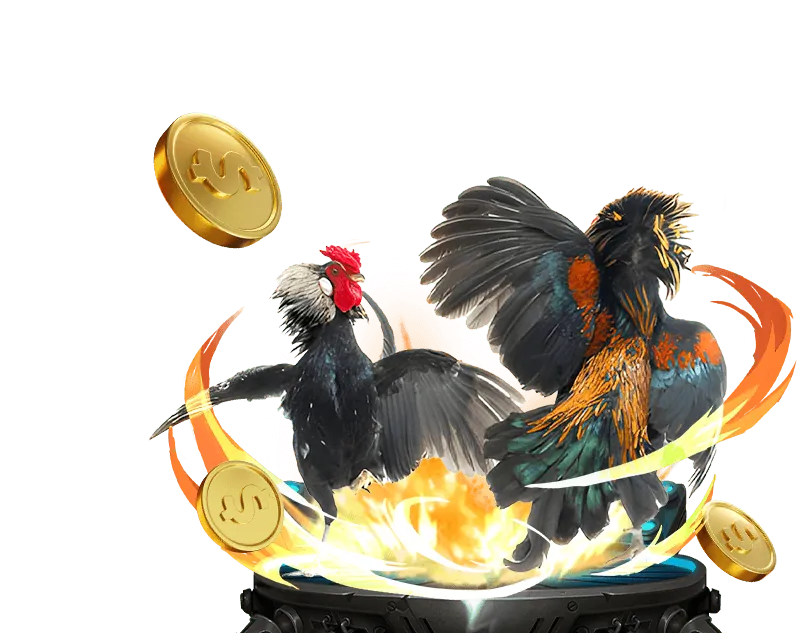 Đặt cược kèo Meron