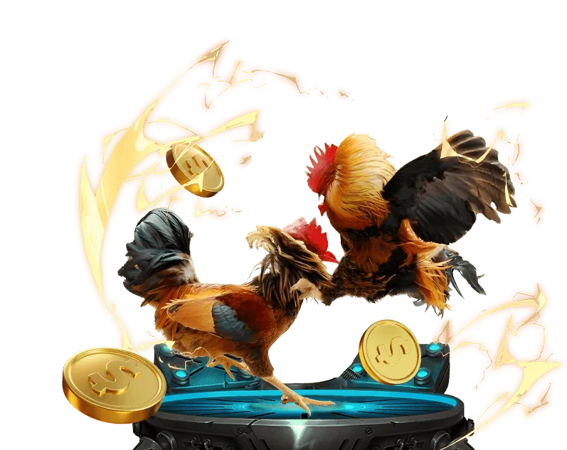 Đá gà cựa dao kịch tính